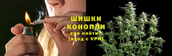 трава Протвино